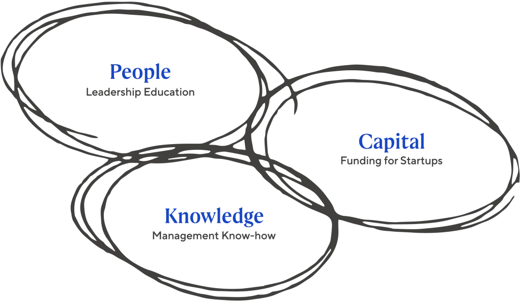 Diagram of the GLOBIS ecosystem consisting of people, capital and knowledge